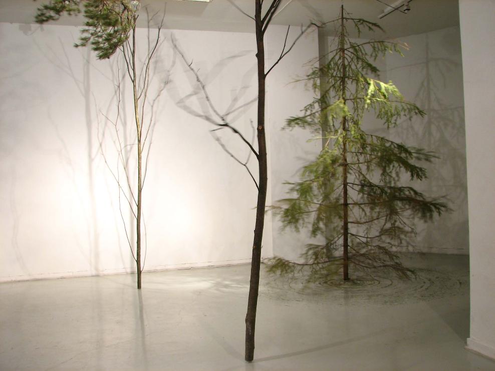 Satu-Minna Suorajärvi