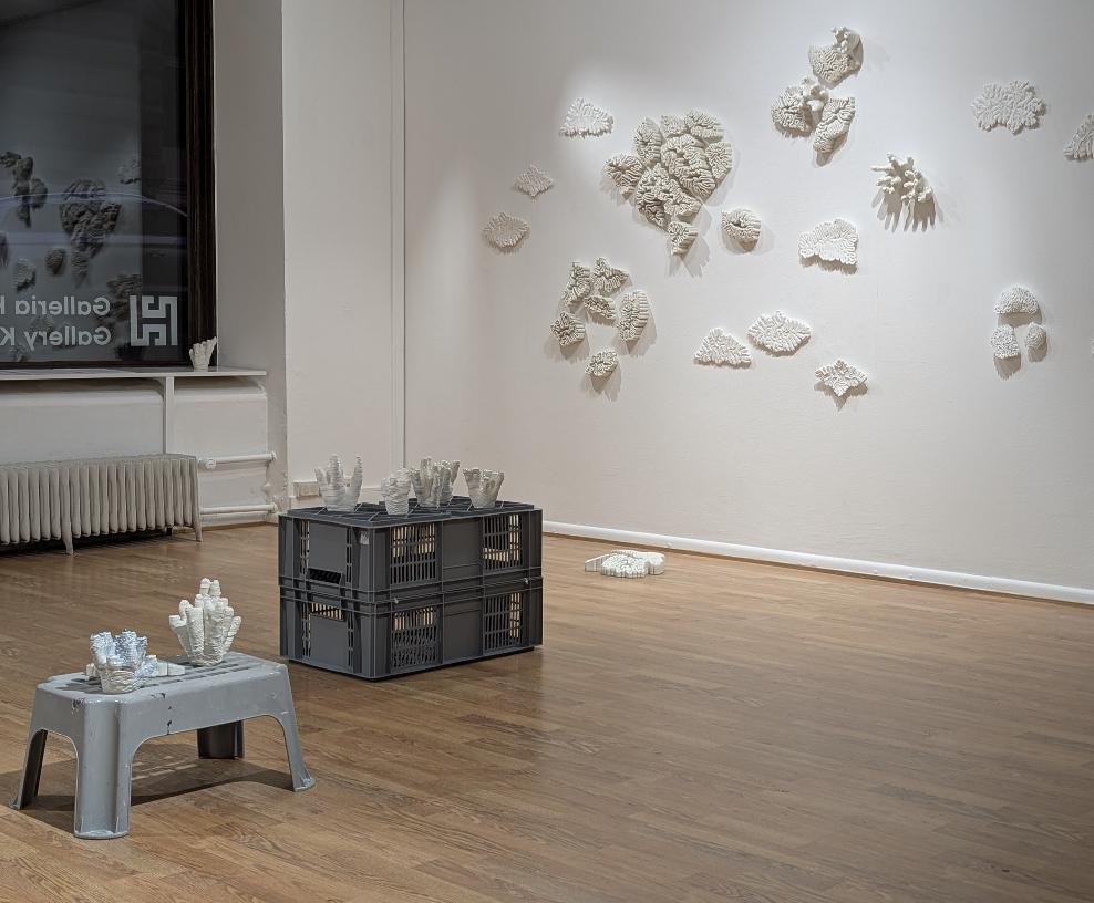 Satu-Minna Suorajärvi